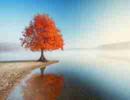 免‍费‍工‌程‍图​软‍件‍